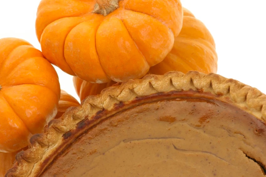 pumpkin pie